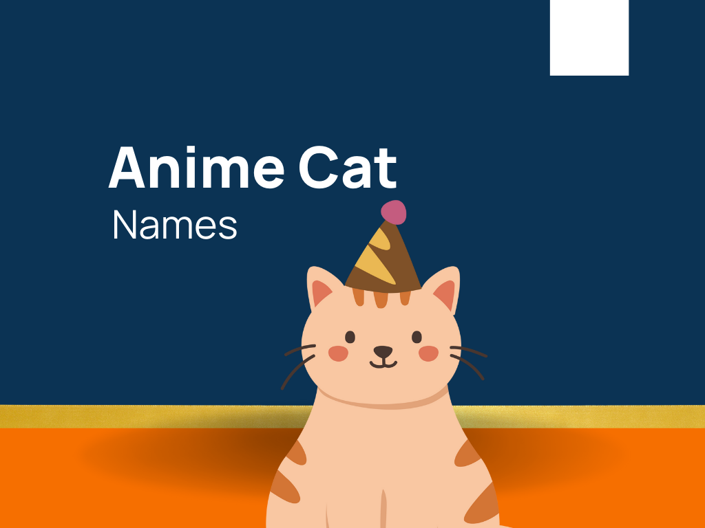 Anime Cat Names: 600+ Catchy and Cool names  For Your  Loving Pet