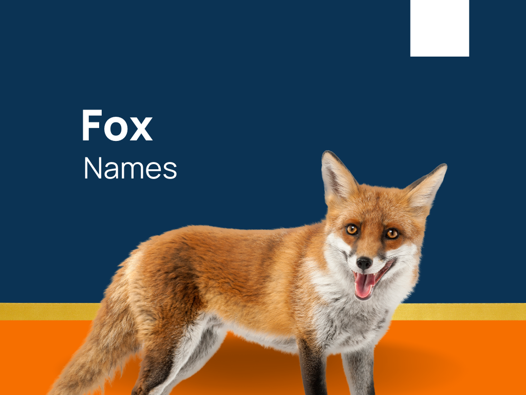 1050+ Fox Names For Your Mischievous Friend! (+Generator)