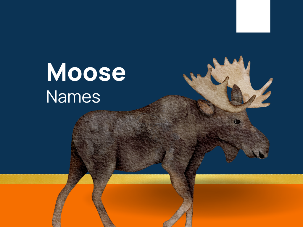 420-moose-names-for-your-graceful-giant-generator