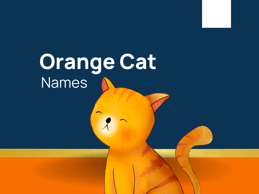 1410+ Orange Cat Names Are Simply Meow-nificent! (+Generator)