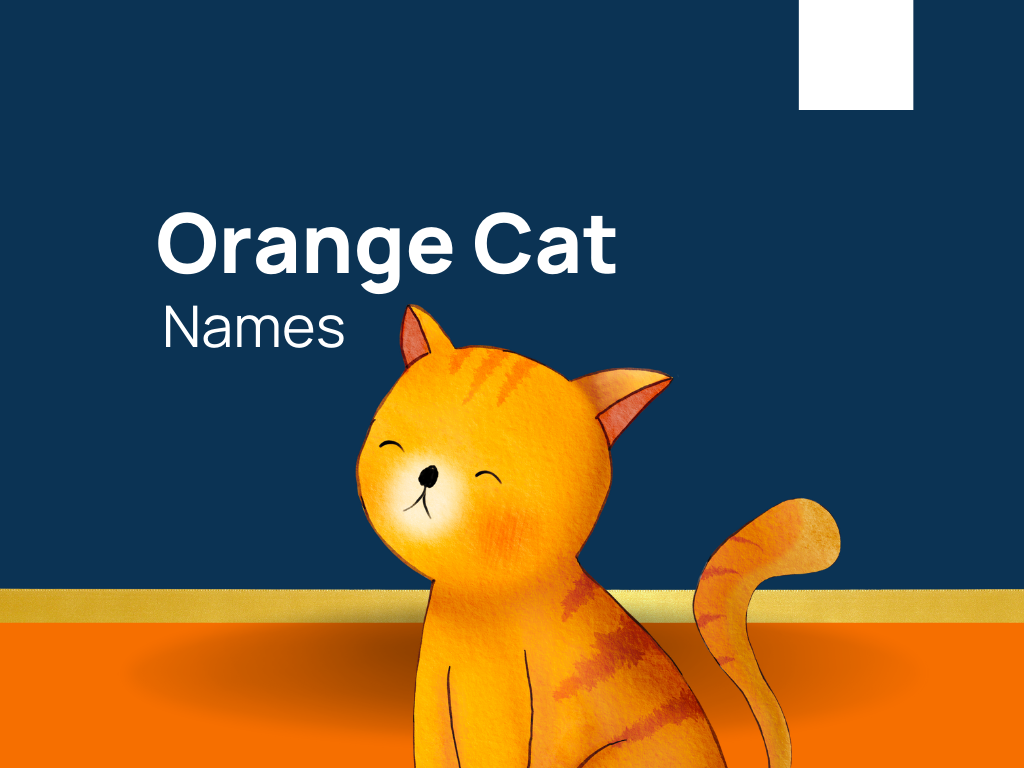 orange-tabby-cat-fascinating-facts-about-orange-cats-orange-tabby