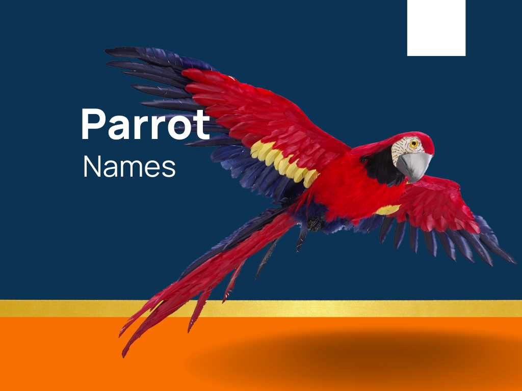 1040-famous-parrot-names-you-ve-ever-heard-generator