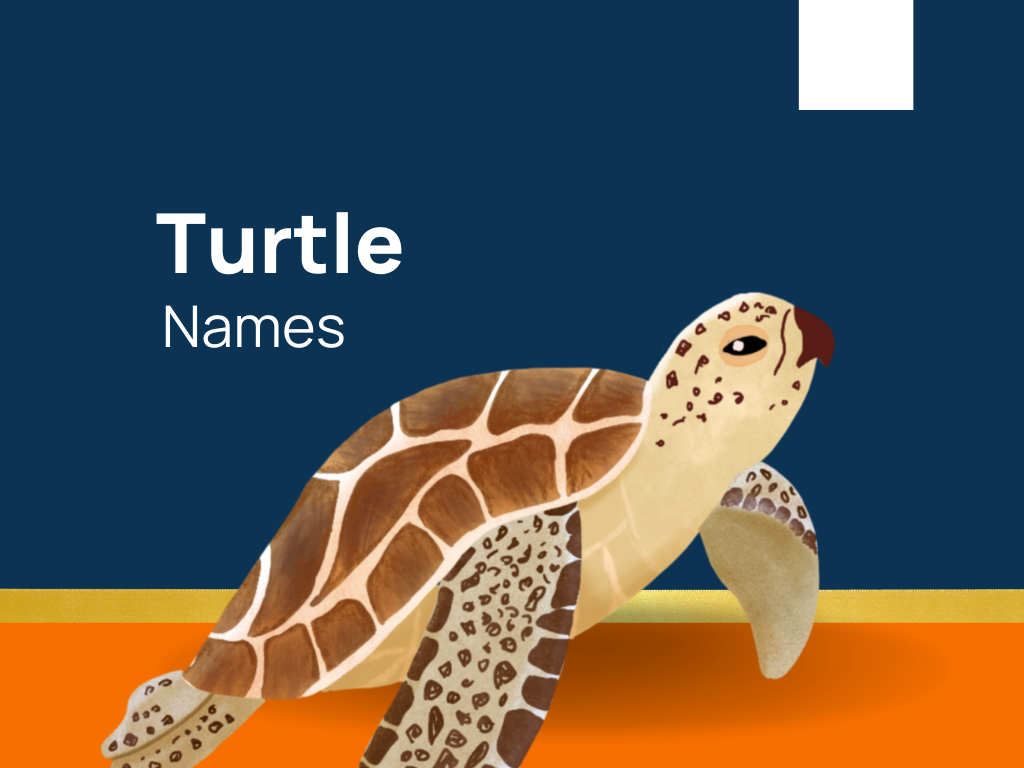 1120-turtle-names-for-strong-green-shelled-canine-generator