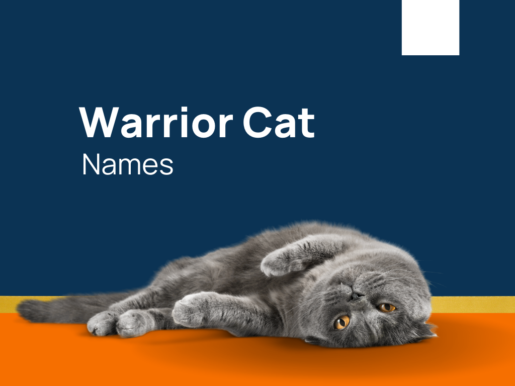 999+ Warrior Cat Name Ideas To Discover The Purrfect Alias