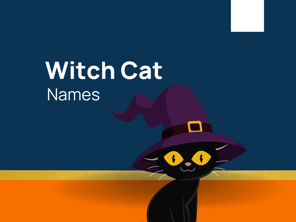 1120-witch-cat-names-for-captivate-mystical-companion-generator