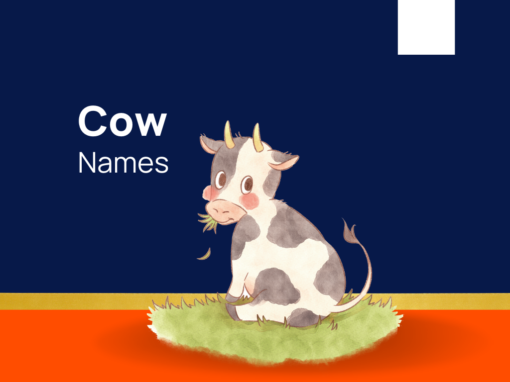 1220-cow-names-for-your-bovine-buddies-generator