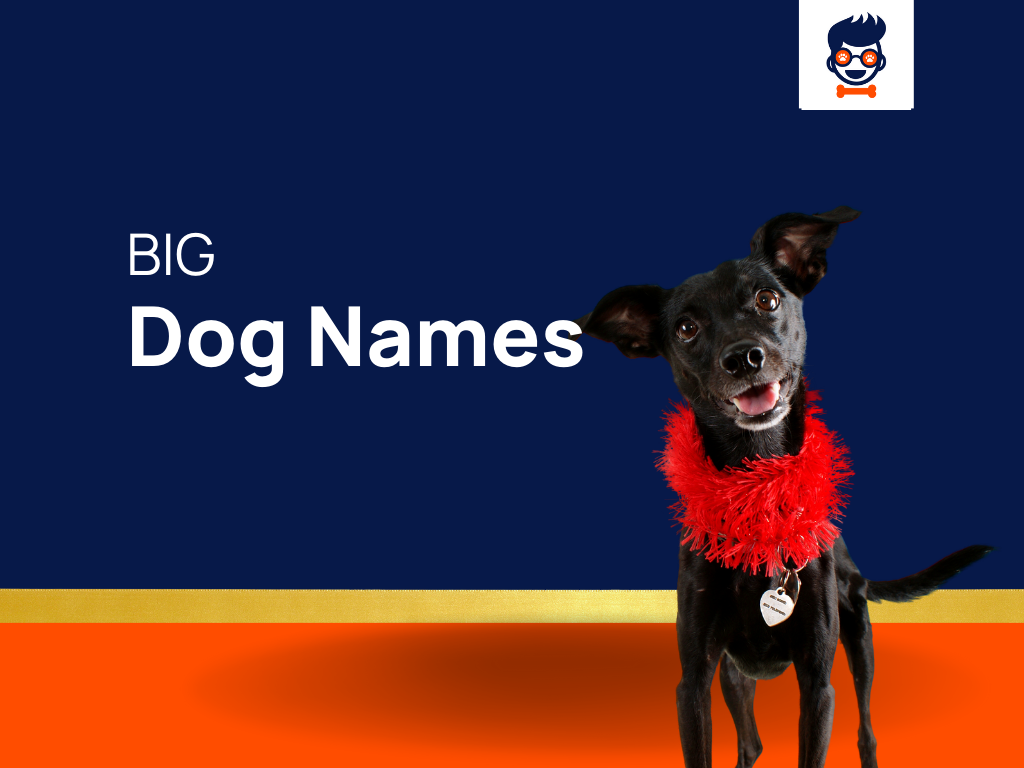 1270-big-dog-names-for-the-mightiest-companions