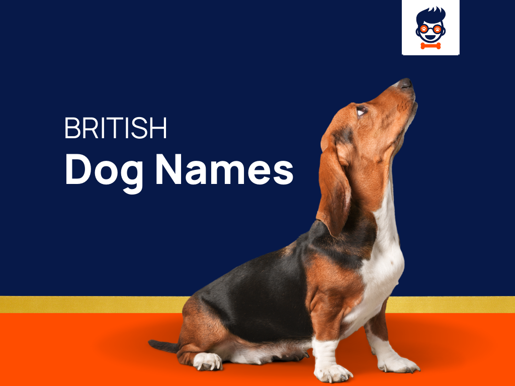 1525-british-dog-names-inspired-by-the-mystique-of-the-uk