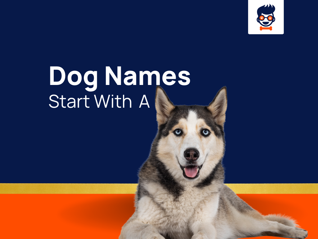 456-famous-dog-names-that-start-with-a-generator