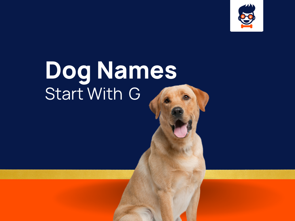 423-best-dog-names-that-start-with-g-generator