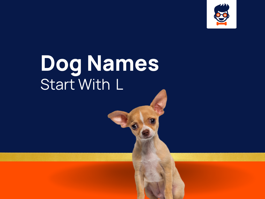 373-best-dog-names-that-start-with-l-generator