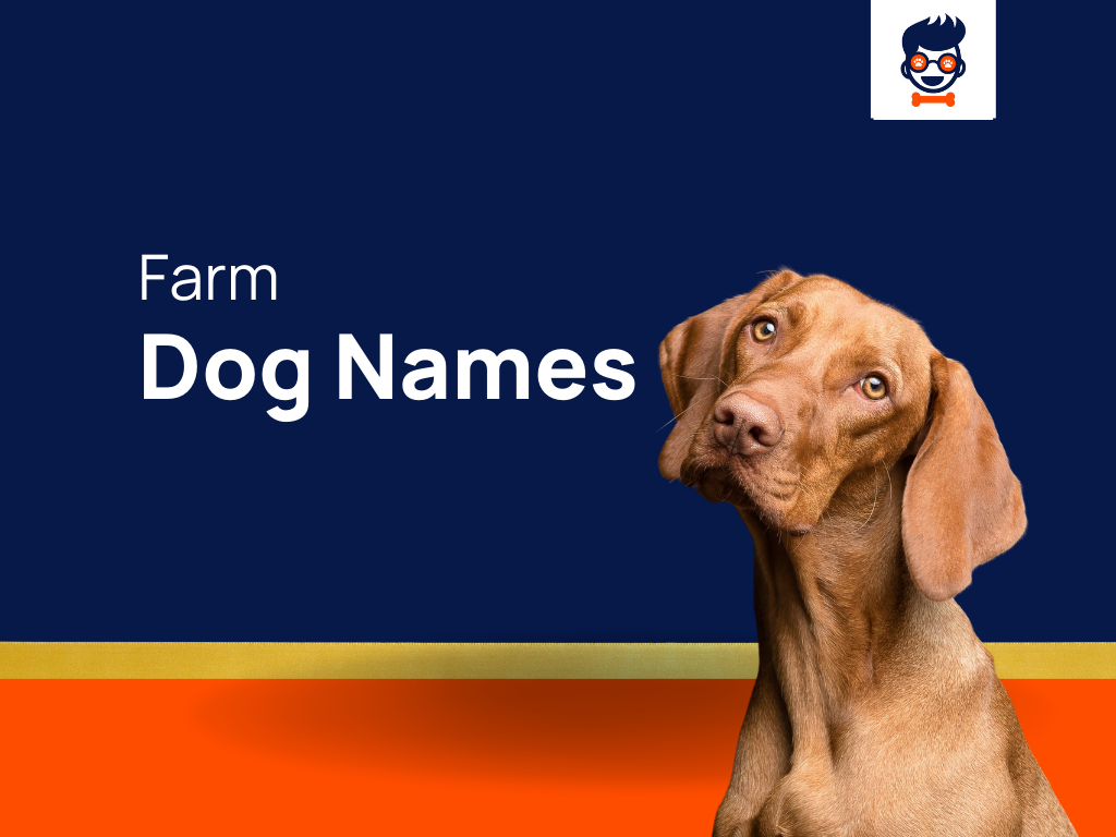 1190-farm-dog-names-that-embrace-the-rural-spirit-generator