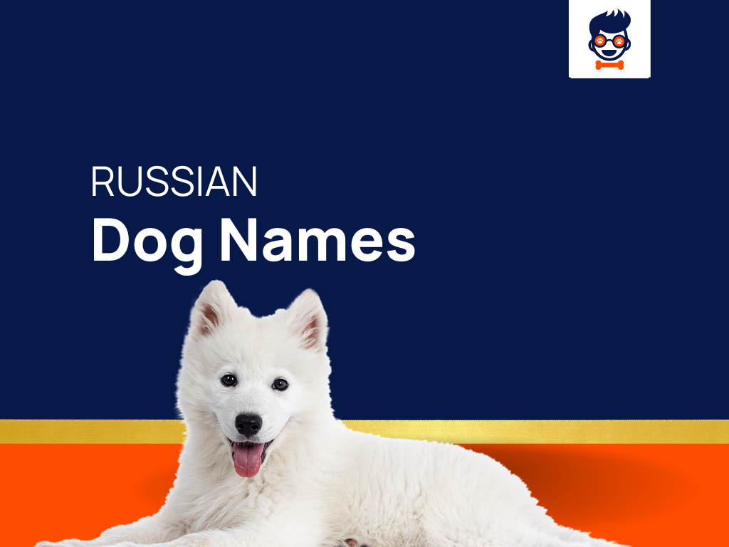 Russian Dog Names 
