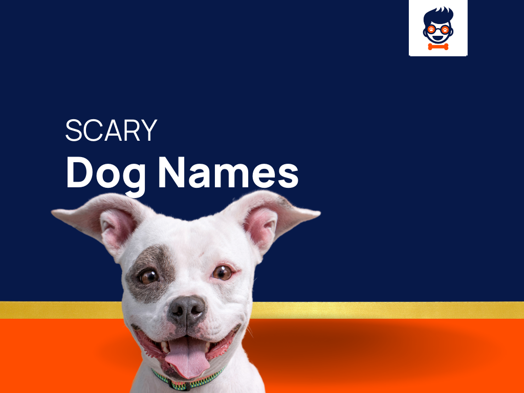 4 Most Scary Dogs According to Statistics  Top Dog Tips
