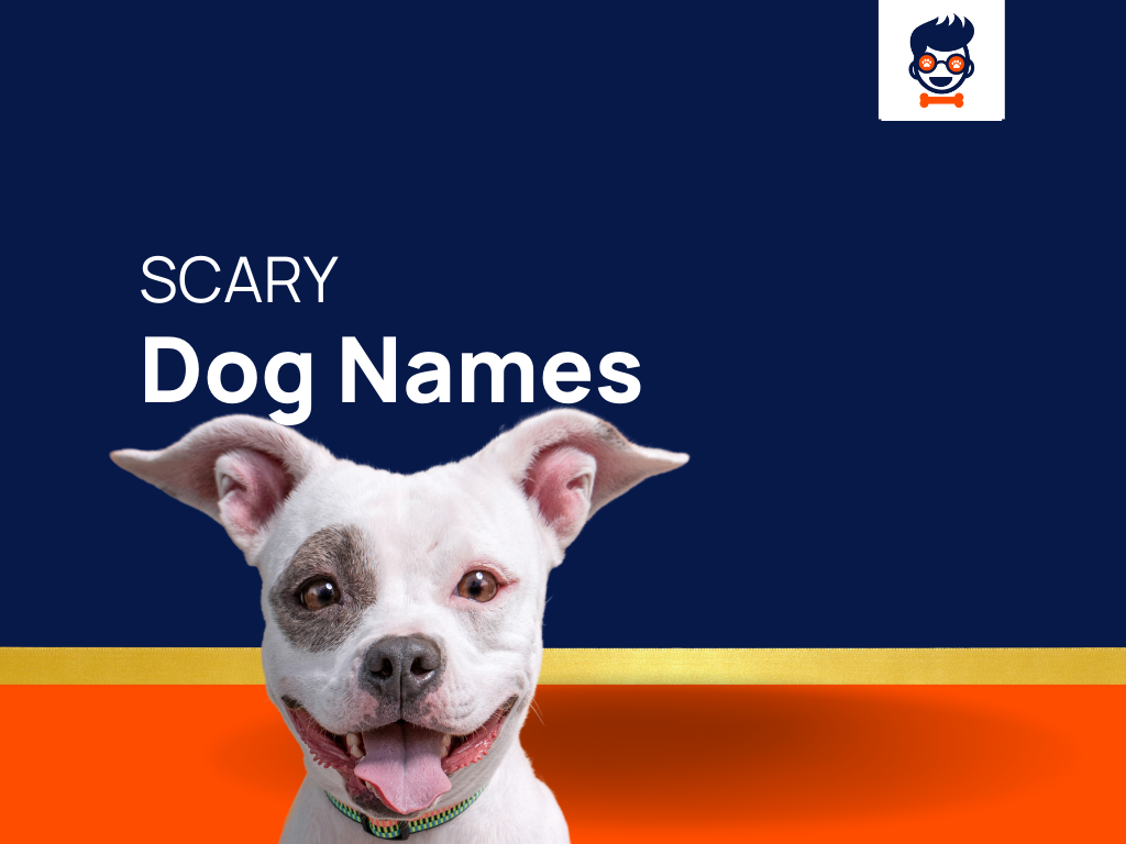 410-scary-dog-names-will-send-shivers-down-your-spine