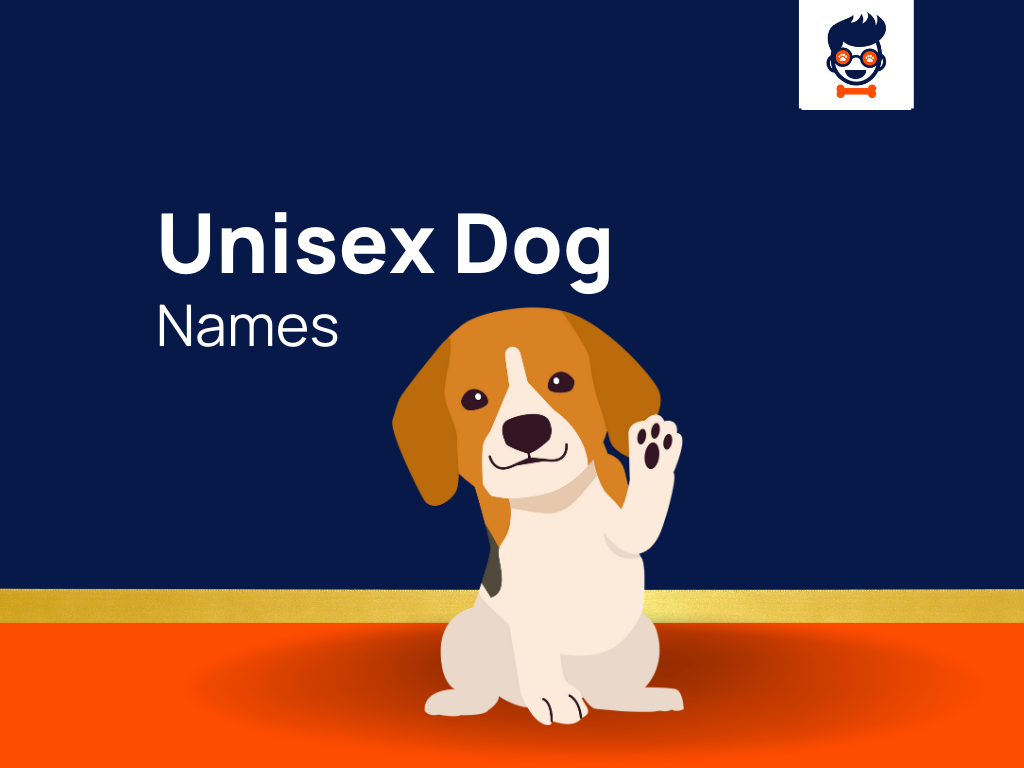 423-best-unisex-or-gender-neutral-dog-names-for-all-breed